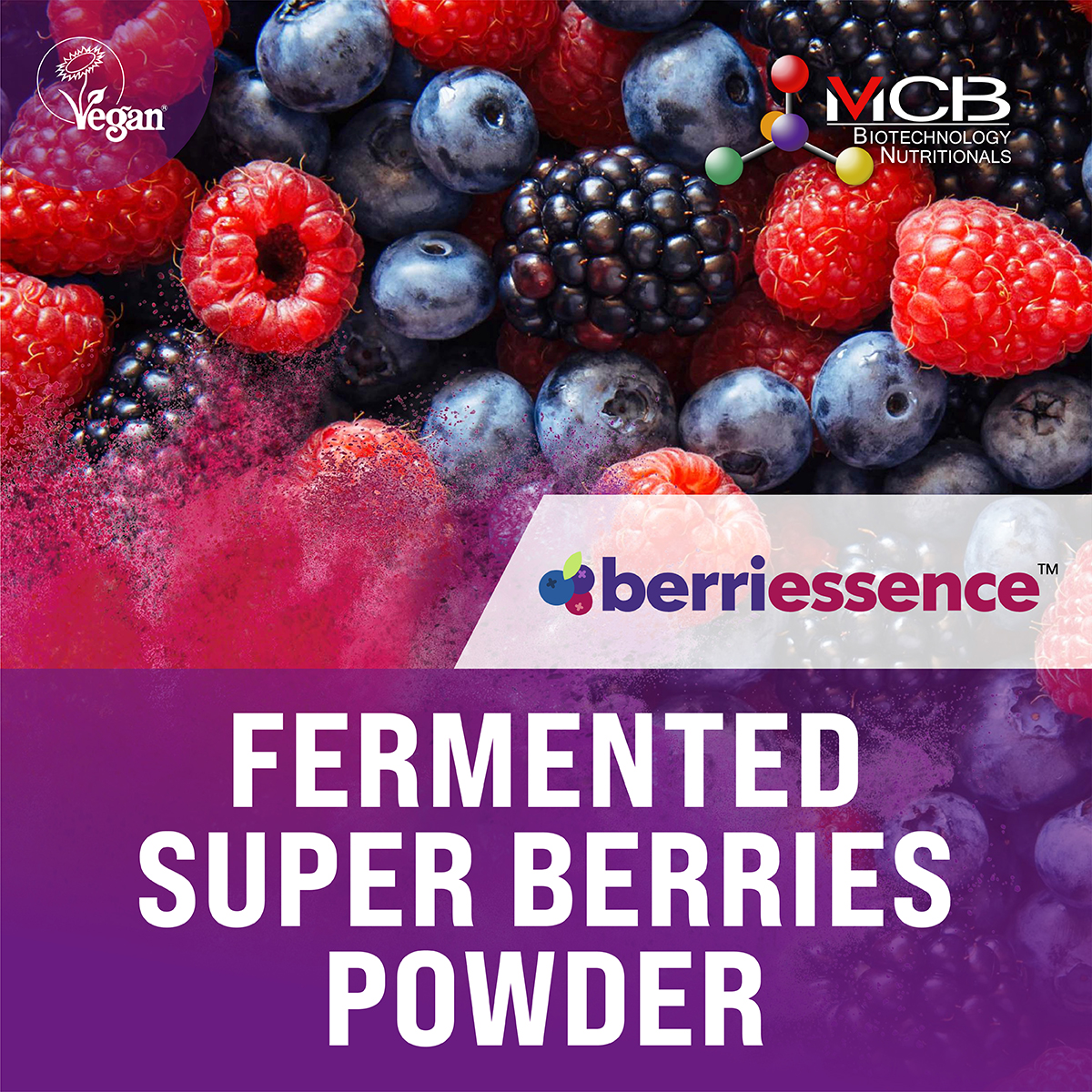 BERRIESSENCE™ Fermented Super Berries Essence Powder